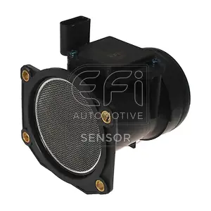 305013 EFI AUTOMOTIVE
