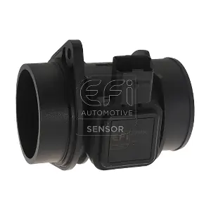 EFI AUTOMOTIVE 305050