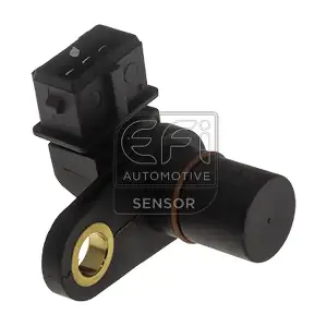 303491 EFI AUTOMOTIVE