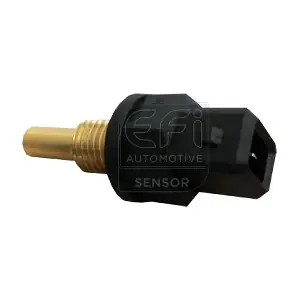 295077 EFI AUTOMOTIVE