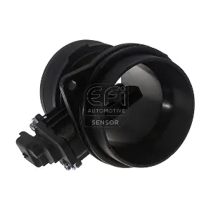 305196 EFI AUTOMOTIVE