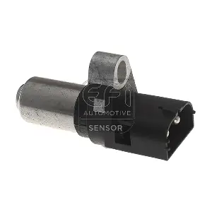 EFI AUTOMOTIVE 302202