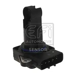 EFI AUTOMOTIVE 305015