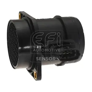 EFI AUTOMOTIVE 305153