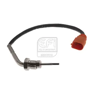1473147 EFI AUTOMOTIVE