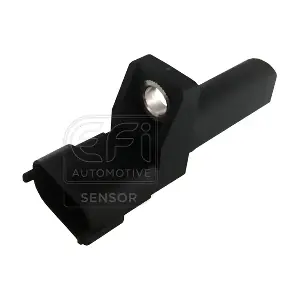 EFI AUTOMOTIVE 303319