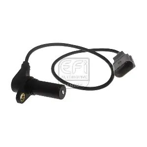 EFI AUTOMOTIVE 303057