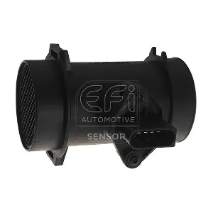 EFI AUTOMOTIVE 305122