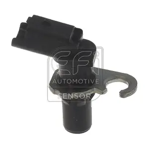 144331 EFI AUTOMOTIVE