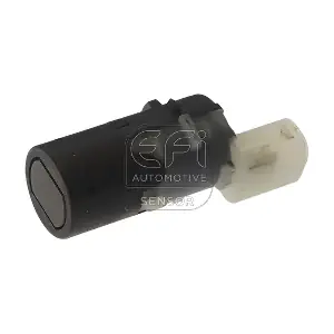 306013 EFI AUTOMOTIVE