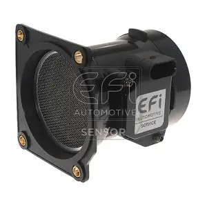 EFI AUTOMOTIVE 305065