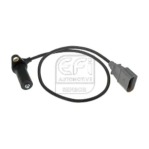 EFI AUTOMOTIVE 303061