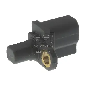 EFI AUTOMOTIVE 302480