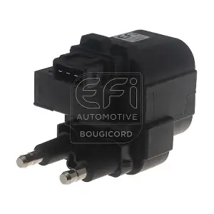 EFI AUTOMOTIVE 155018