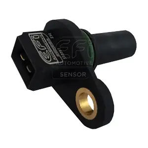 EFI AUTOMOTIVE 303007