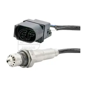 EFI AUTOMOTIVE 301119