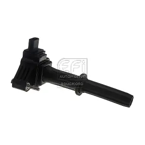 155554 EFI AUTOMOTIVE