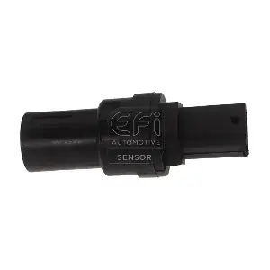304007 EFI AUTOMOTIVE