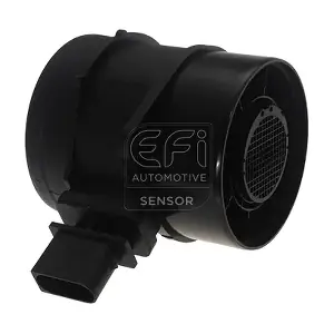 305195 EFI AUTOMOTIVE