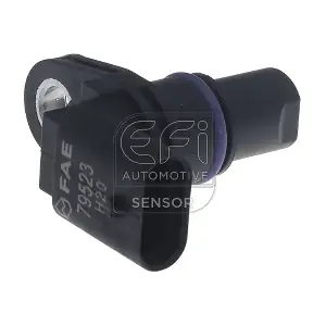 303460 EFI AUTOMOTIVE