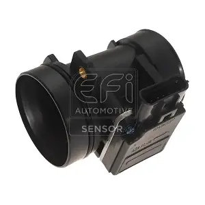 305007 EFI AUTOMOTIVE