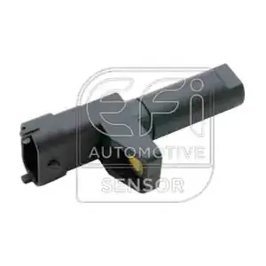 303517 EFI AUTOMOTIVE