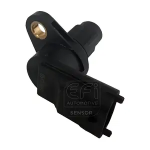 EFI AUTOMOTIVE 303312
