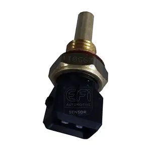 EFI AUTOMOTIVE 295011
