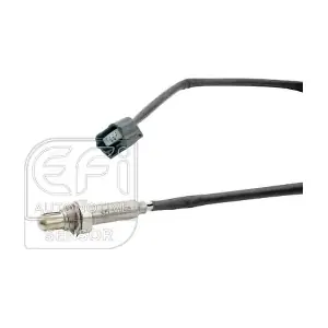 301656 EFI AUTOMOTIVE