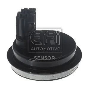 302431 EFI AUTOMOTIVE