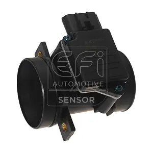 305094 EFI AUTOMOTIVE