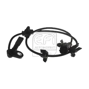 302231 EFI AUTOMOTIVE