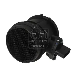 305030 EFI AUTOMOTIVE