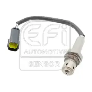 301586 EFI AUTOMOTIVE