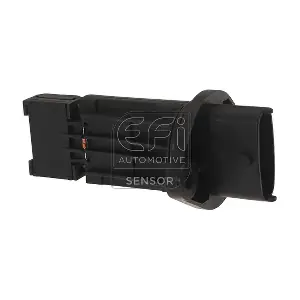 EFI AUTOMOTIVE 305043