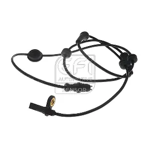302029 EFI AUTOMOTIVE