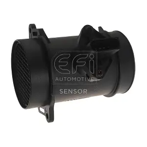 305095 EFI AUTOMOTIVE