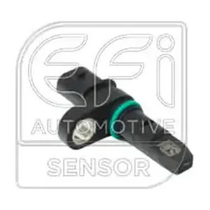 302554 EFI AUTOMOTIVE