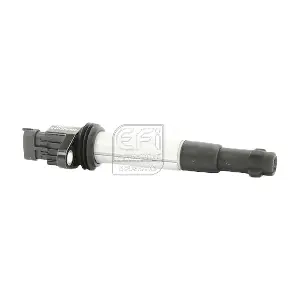 155480 EFI AUTOMOTIVE
