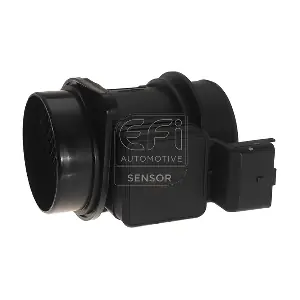 305063 EFI AUTOMOTIVE