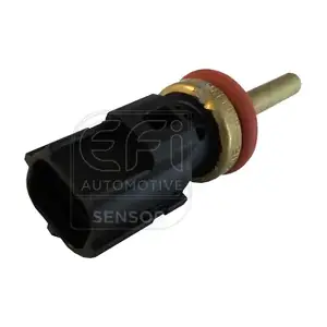 295179 EFI AUTOMOTIVE