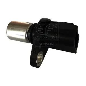 EFI AUTOMOTIVE 303246