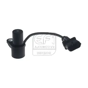 303455 EFI AUTOMOTIVE