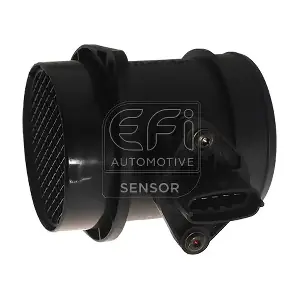 EFI AUTOMOTIVE 305056
