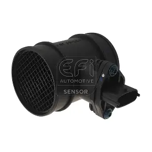 EFI AUTOMOTIVE 305090