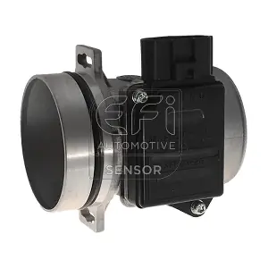305098 EFI AUTOMOTIVE