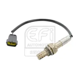 EFI AUTOMOTIVE 301391