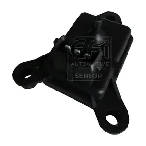 EFI AUTOMOTIVE 291005