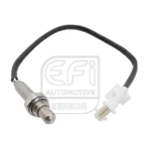 EFI AUTOMOTIVE 301363
