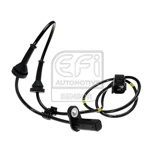 EFI AUTOMOTIVE 302182